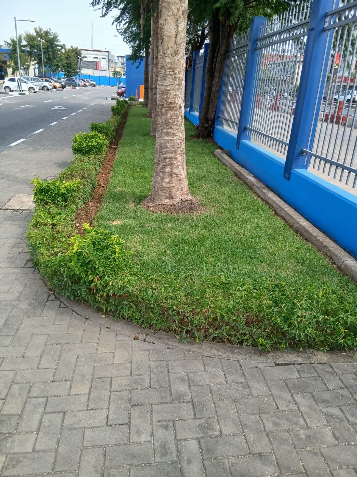 Desinfeção e higienização