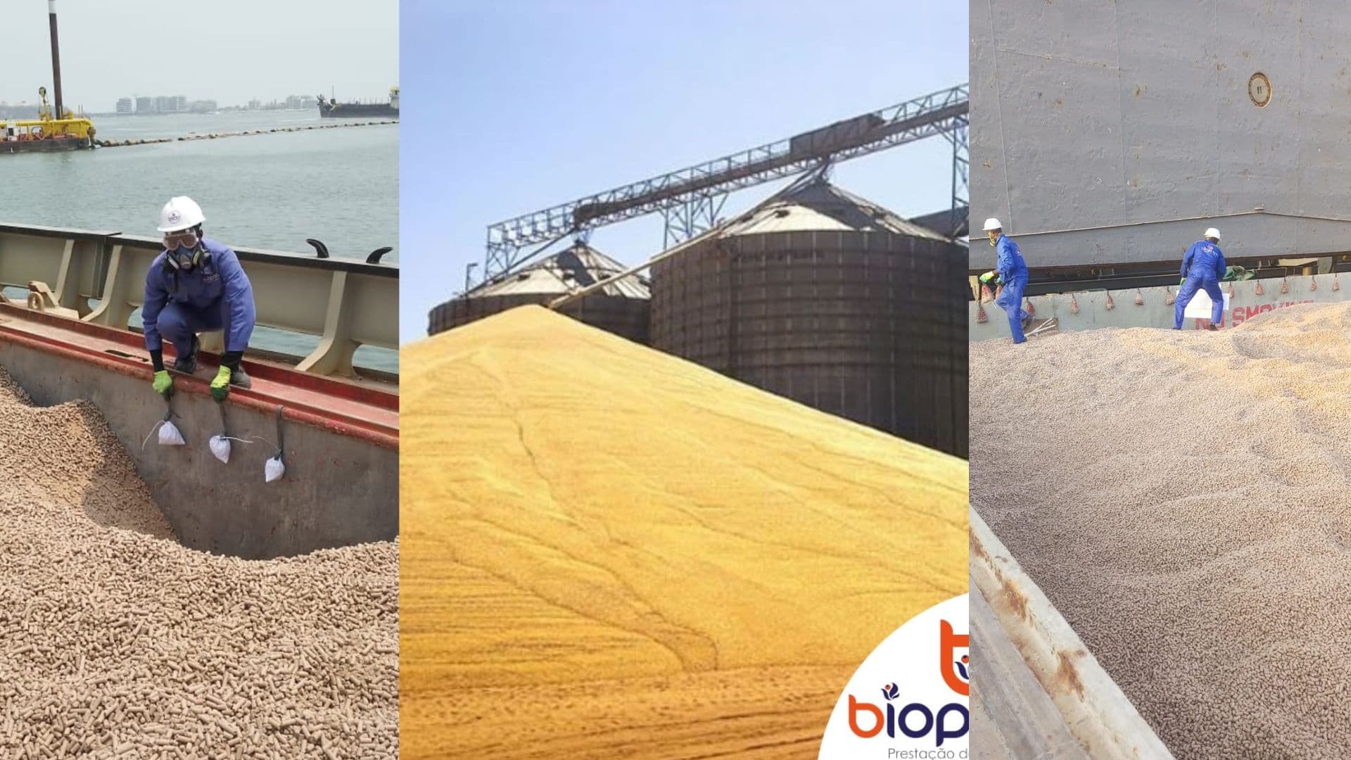 Expurgo de grão em silos e porões de navios